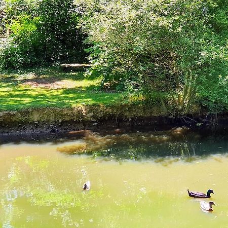 Tout Le Confort Au Milieu D'Un Parc Botanique Noyal-Muzillac Eksteriør bilde