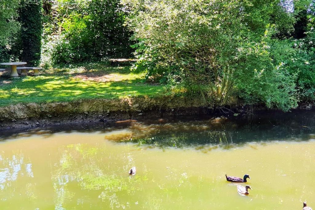 Tout Le Confort Au Milieu D'Un Parc Botanique Noyal-Muzillac Eksteriør bilde